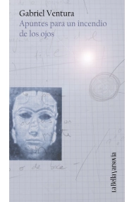 Cubierta de Apuntes para un incendio de los ojos