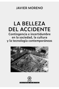 Cubierta de La belleza del accidente
