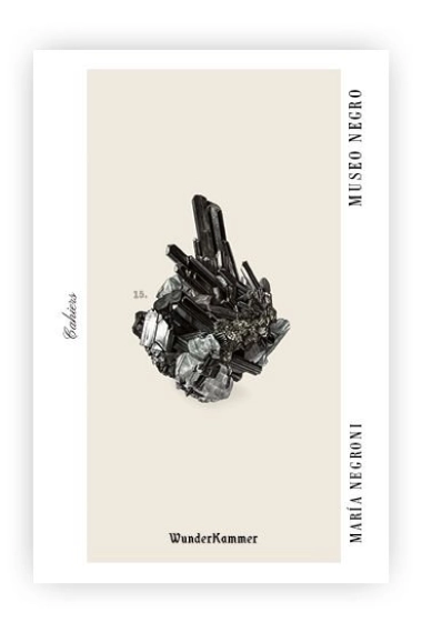 Coberta de Museo negro — María Negroni