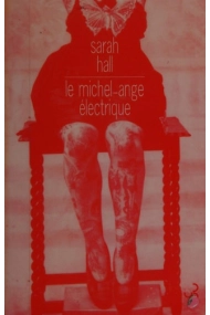 Cover of Le Michel-Ange électrique