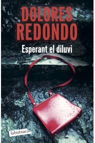 Cover of Esperant el diluvi