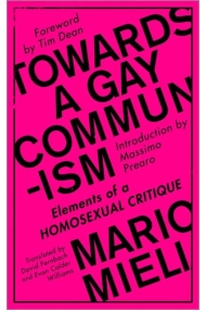 Cover von Towards a Gay Communism Elements of a Homosexual Critique