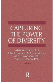 Cover of Capturing the Power of Diversity