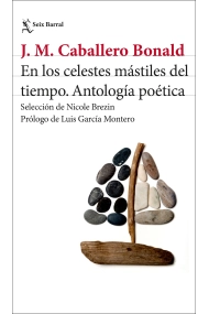 Cover von En los celestes mástiles del tiempo
