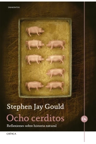 Coberta de Ocho cerditos