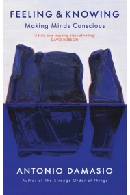 Cubierta de Feeling and Knowing Making Minds Conscious